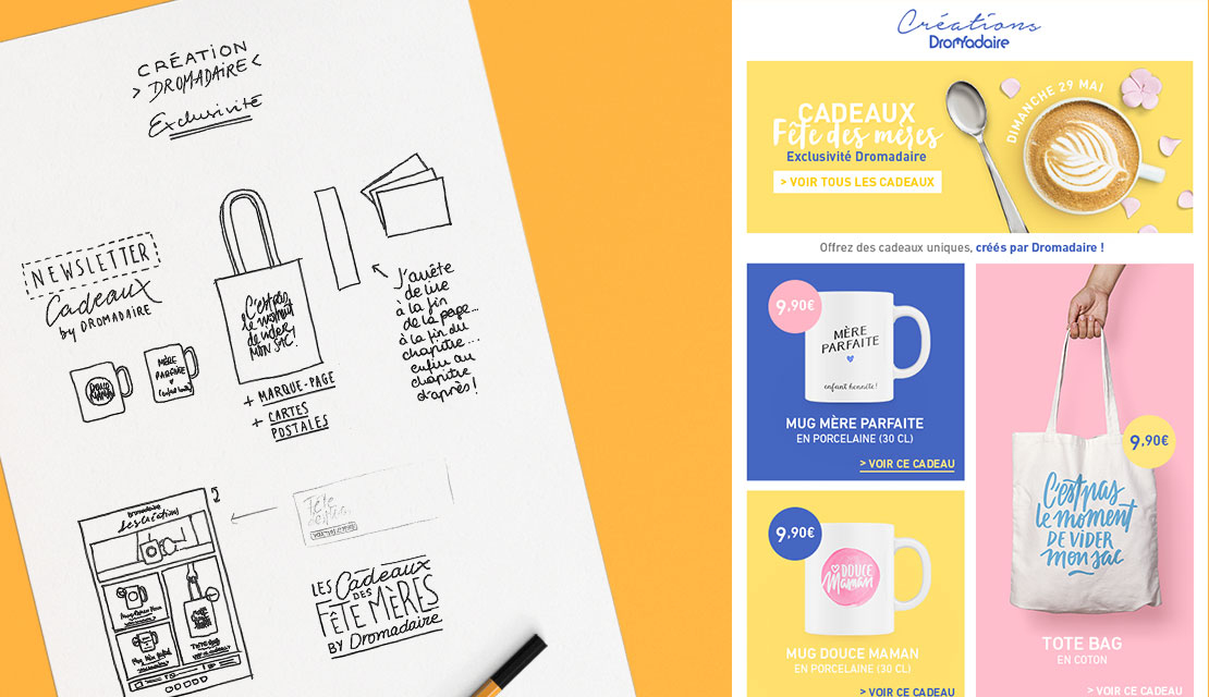 Création dromadaire - newsletter